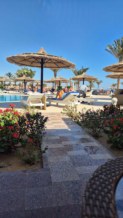 Pool Coral Sun Beach