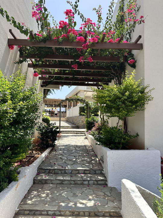 Gartenanlage Sentido Kyknos Beach Adults Only 16+