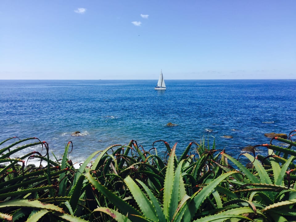 Außenansicht Pestana Bahia Praia Nature & Beach Resort