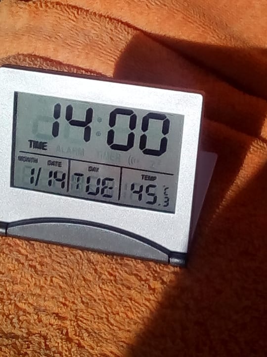 Sonstiges Desert Rose