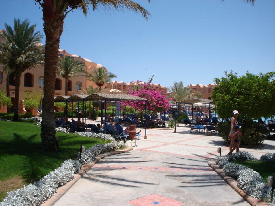 Территория отеля Jaz Makadi Oasis Resort