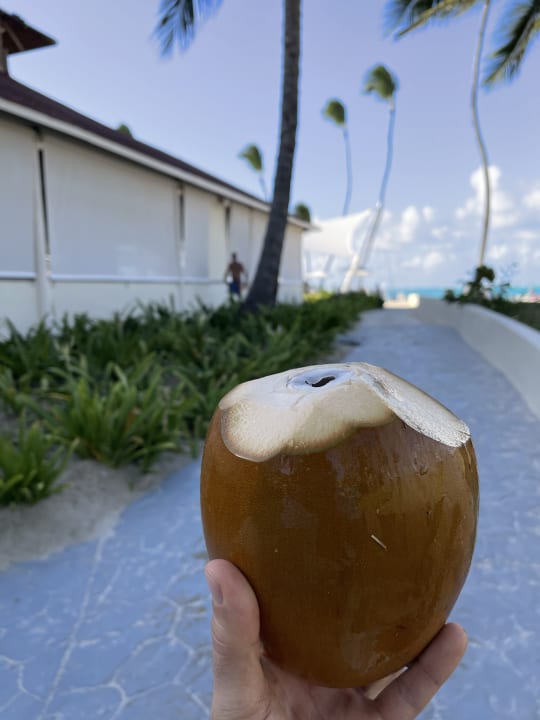 Gastro Grand Bávaro Princess