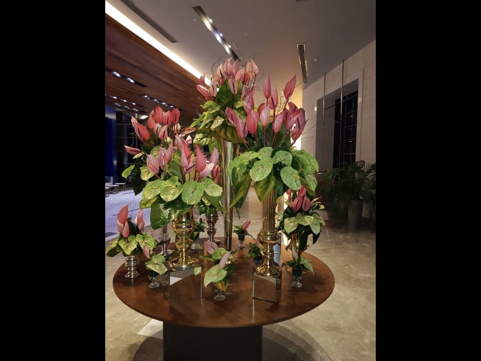 Lobby Acanthus Cennet Barut Collection