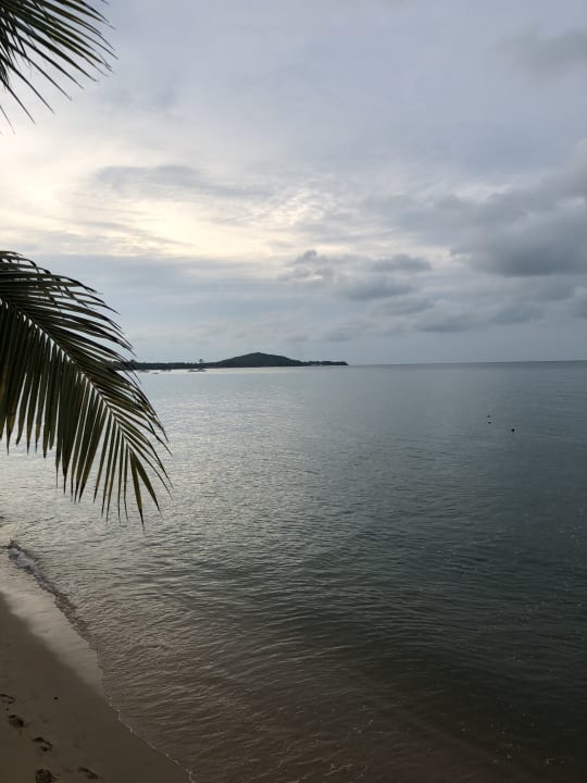 Strand Paradise Beach Resort, Samui