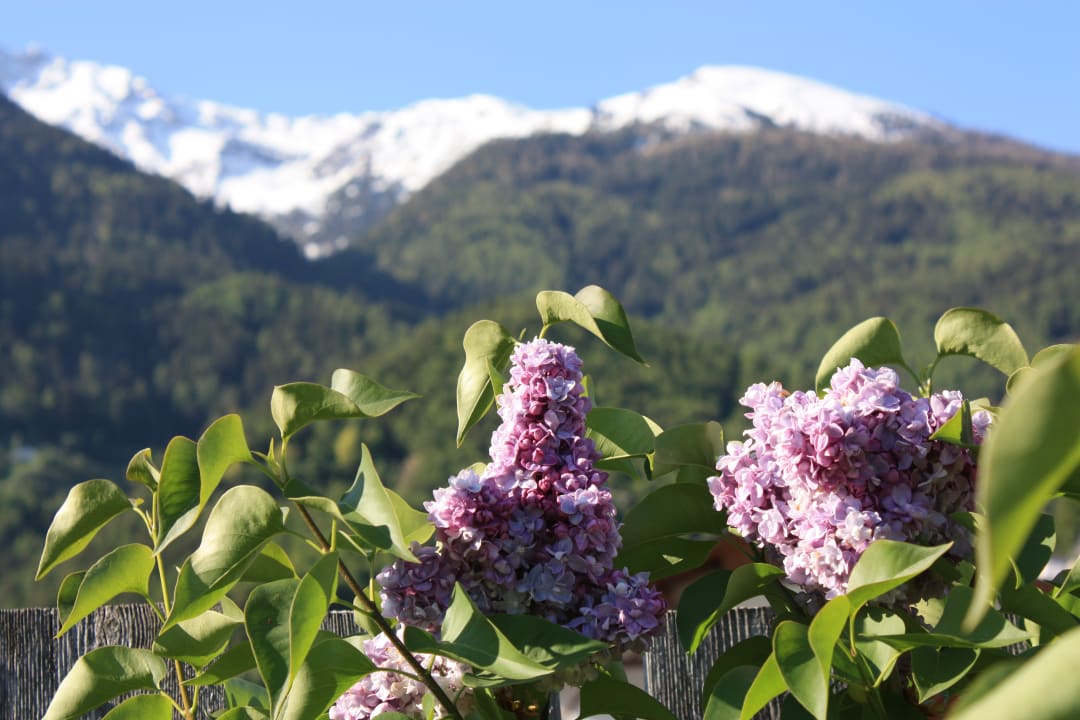 Frühling im Camping Residence Sägemühle Prad Residence Sägemühle