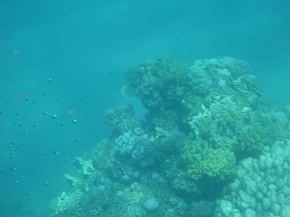 Riff Three Corners Equinox Beach Resort