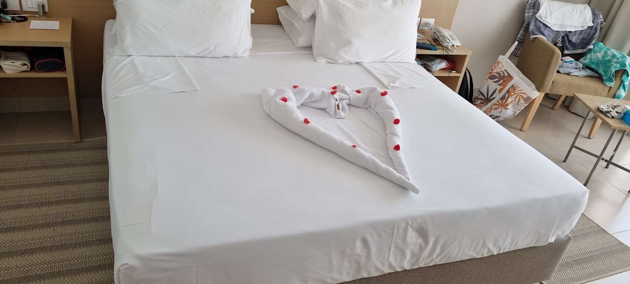 Zimmer JAZ Elite Asteria