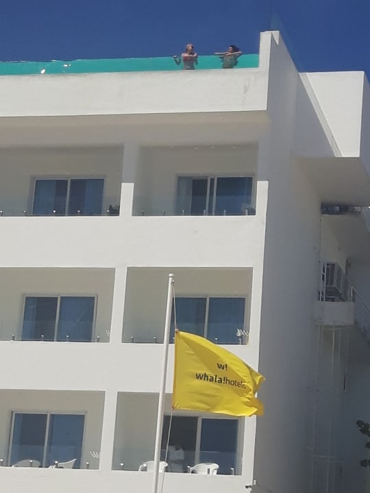 Sonstiges Hotel Grand Palladium Palace Resort, Spa & Casino