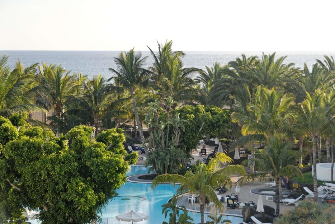 Pool und Palmen Hipotels La Geria