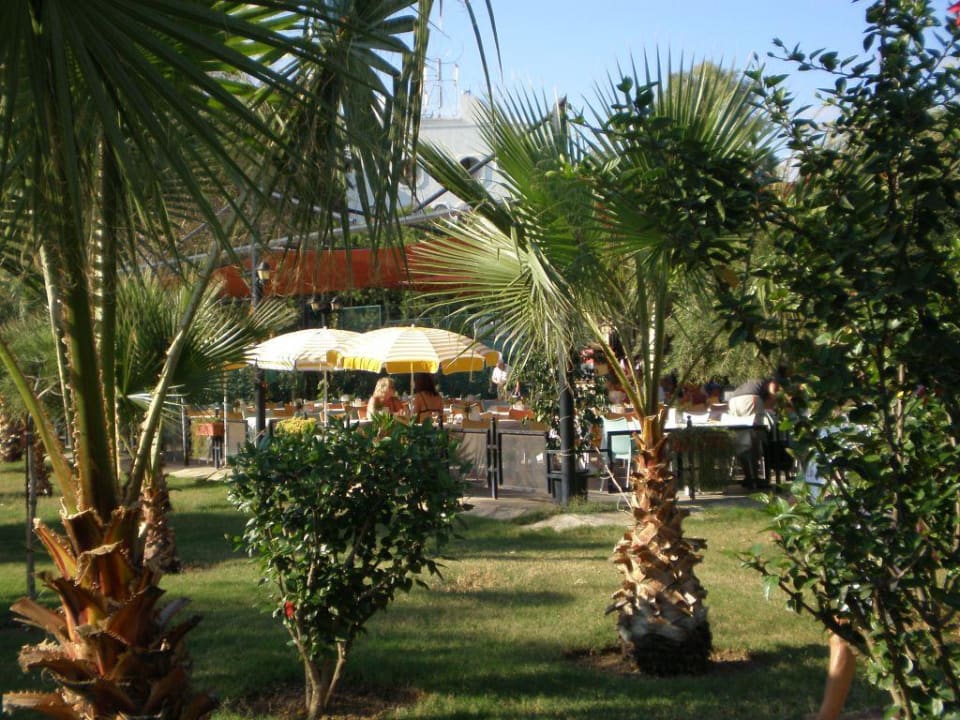 Royal Garden Hotel Royal Garden Beach