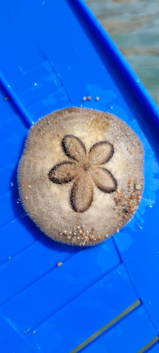 Sonstiges Hilton Hurghada Plaza