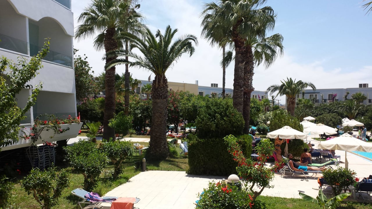 Ausblick auf den Pool Hotel Tigaki Beach