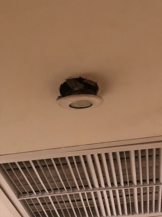 Zimmer Ghazala Gardens