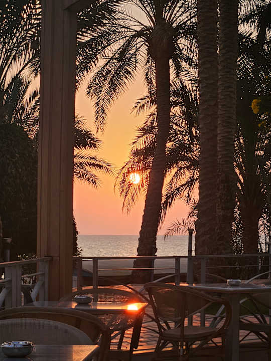 Strand Serenity Alpha Beach