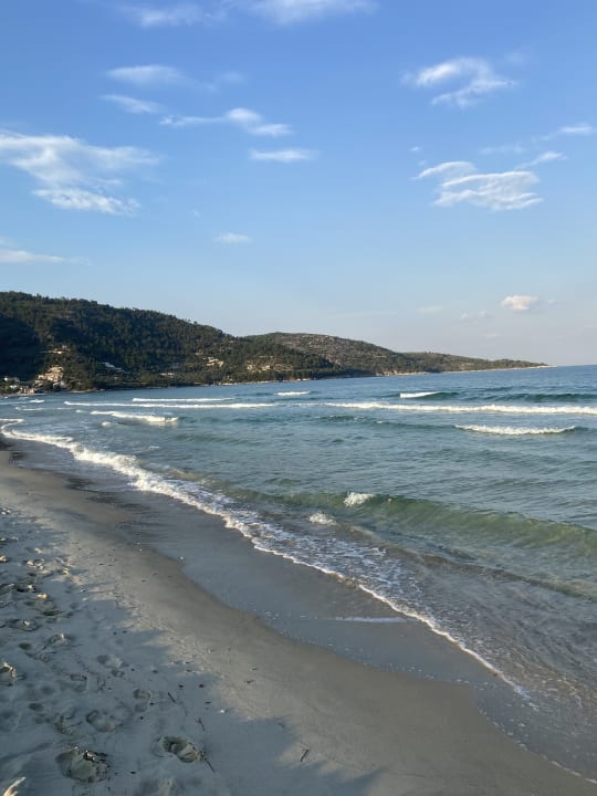 Strand Alexandra Golden Boutique - Adults only