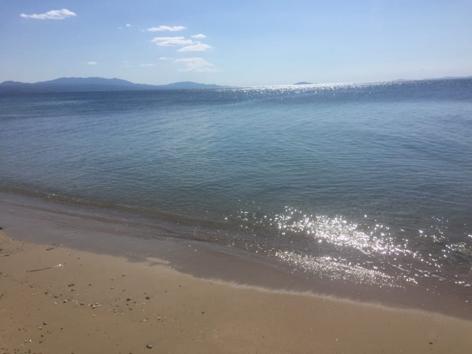 Ausblick Blue Dolphin Resort Hotel