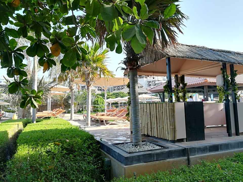 Sonstiges Anantara The Palm Dubai Resort