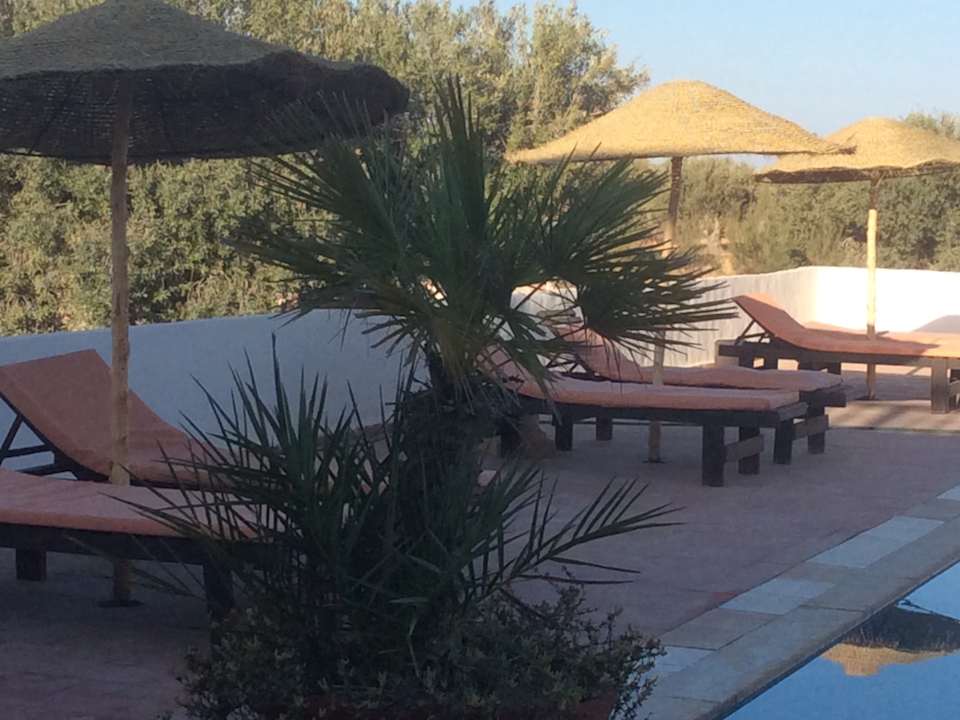 Pool Maison dˋHôte Domaine El-Manar