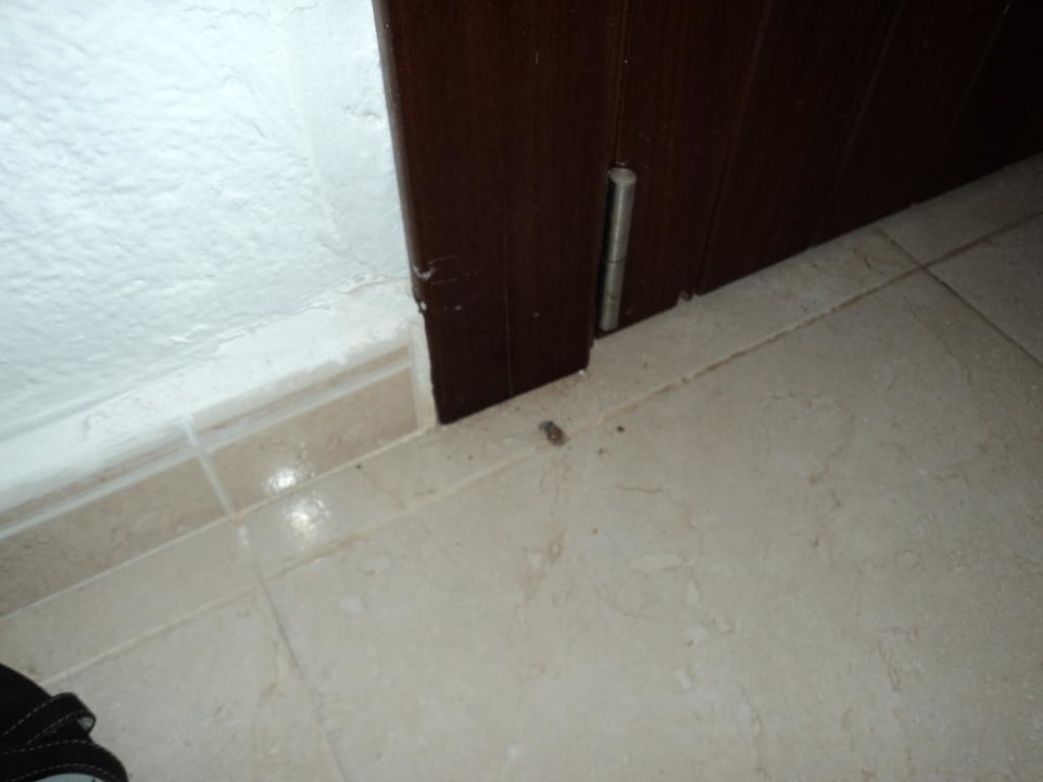 Ohne Worte Aparthotel Ciudad Laurel