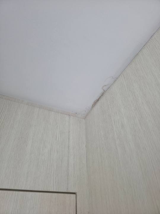 Zimmer Oasia Suites Kuala Lumpur