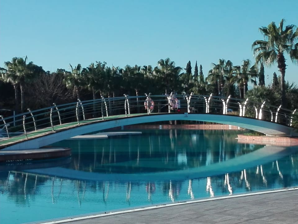 Pool Lara Barut Collection