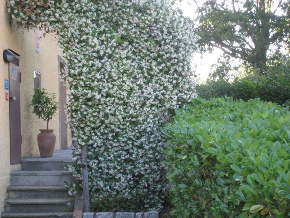 Jasmin Hotel Residence Sant'uberto