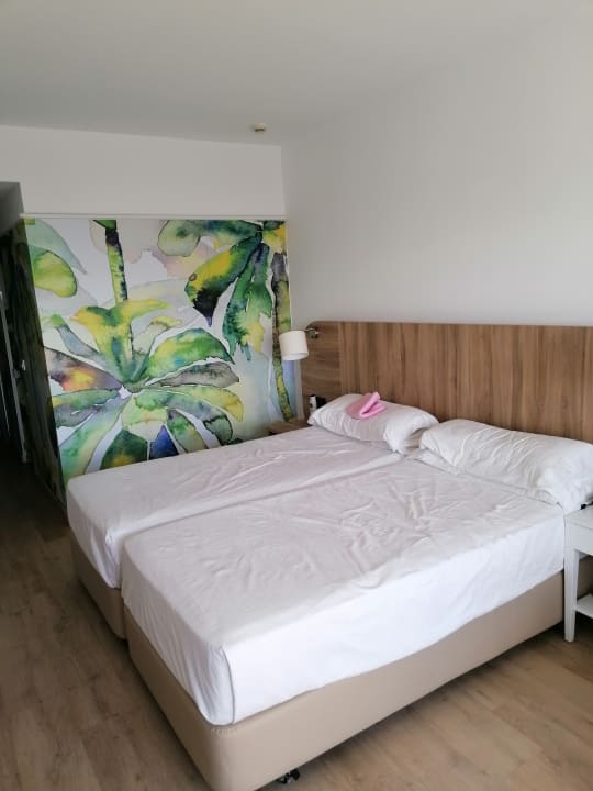 Zimmer Hotel Costa Calero