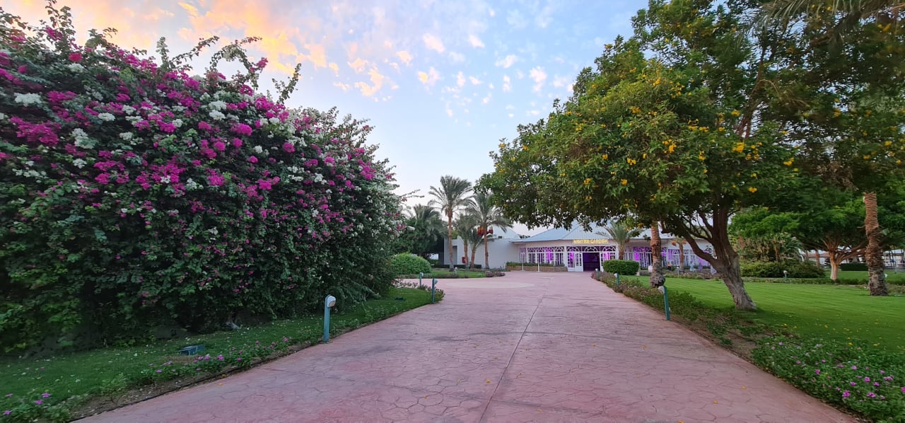 Gartenanlage Desert Rose