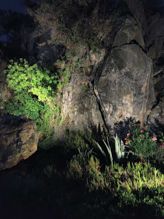 Gartenanlage TUI BLUE Sarigerme Park