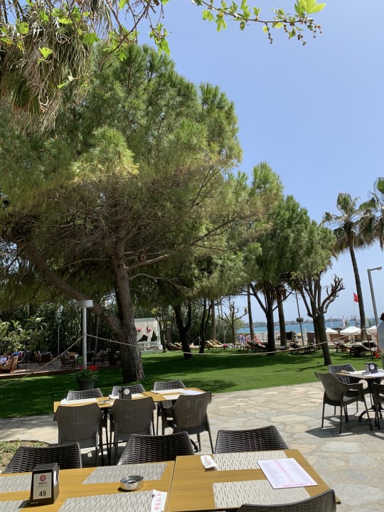 Gastro Barut Hemera