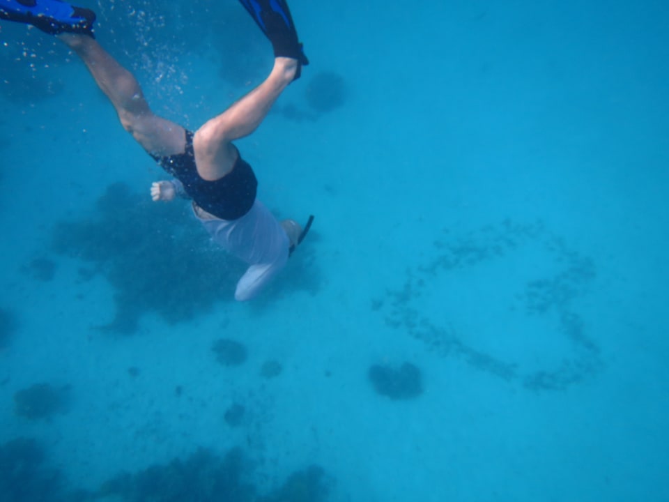 Sport & Freizeit Pickalbatros Citadel Resort