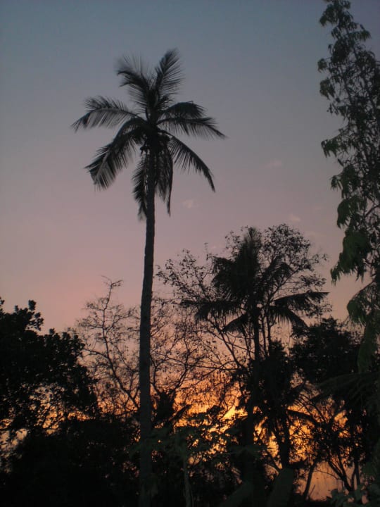 Sonnenuntergang (Sicht von der Terrasse) ELDC Dreamcatcher House