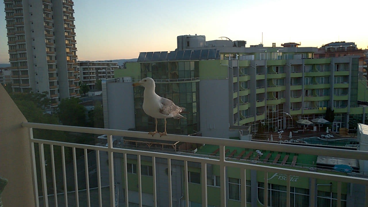 Ausblick Hotel Bilyana Beach