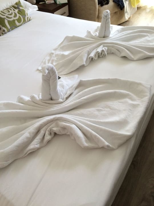 Die Putzfrau hat gute Arbeit geleistet. Side Alegria Hotel & Spa - Adults only +16