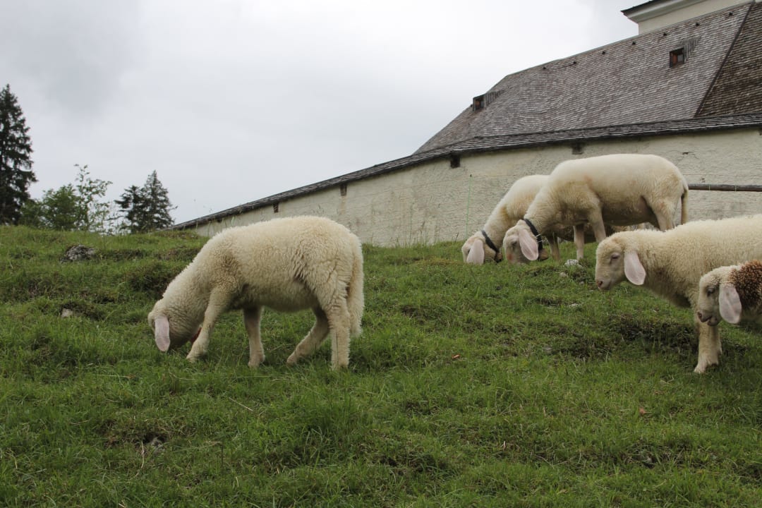 Jachenau Gasthof Jachenau