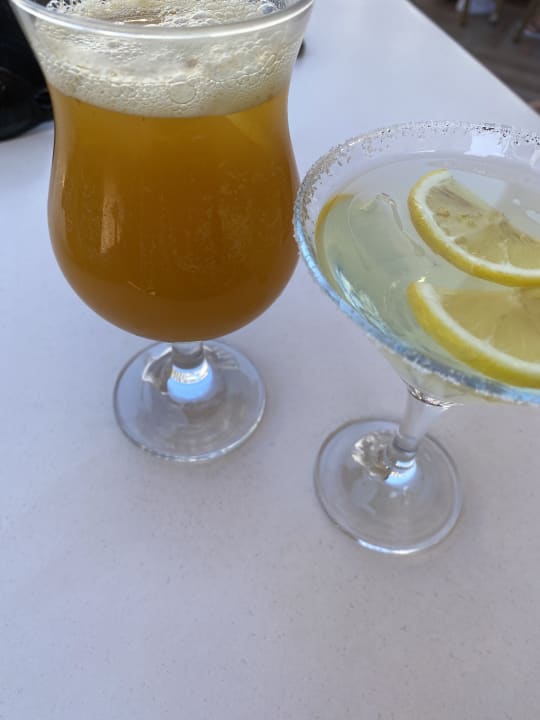 Gastro Paloma Oceana