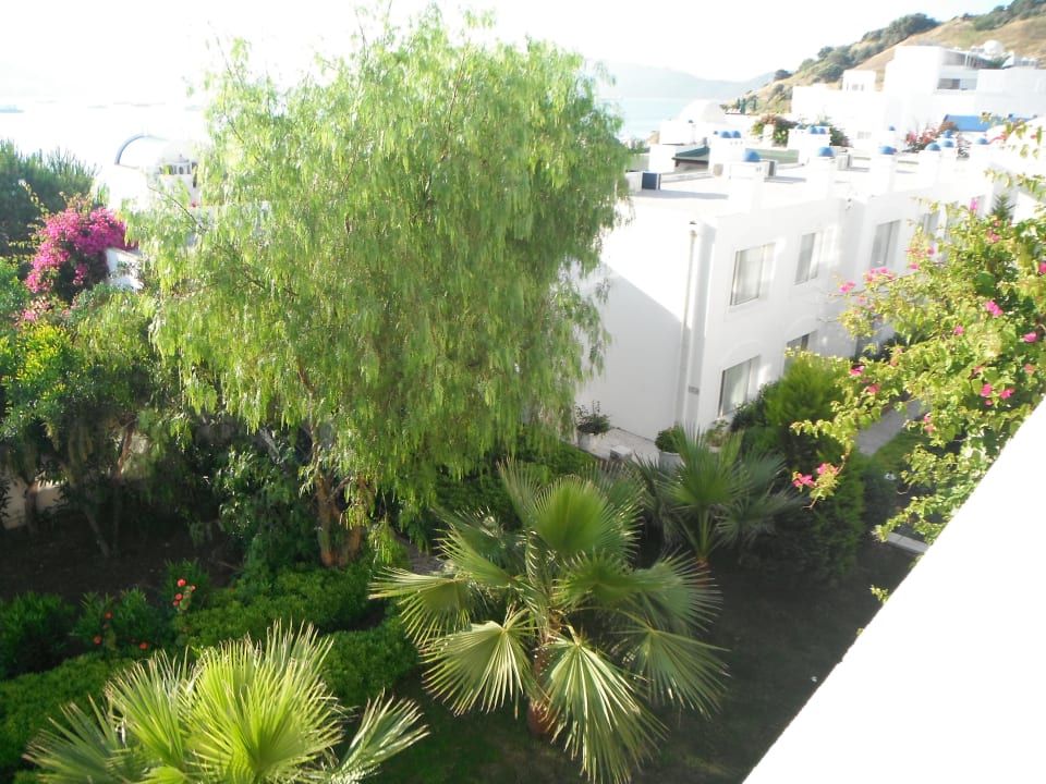 Salmakis Salmakis Resort & Spa