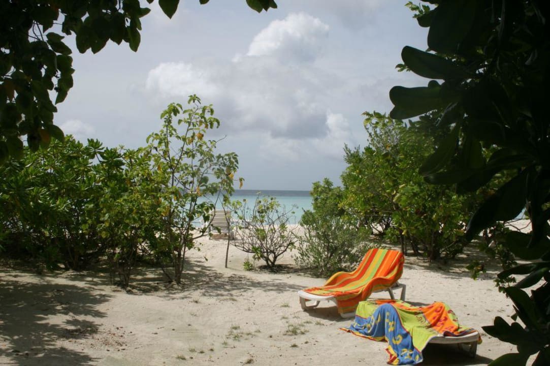 Blick vom Zimmer auf den Strand Summer Island Maldives