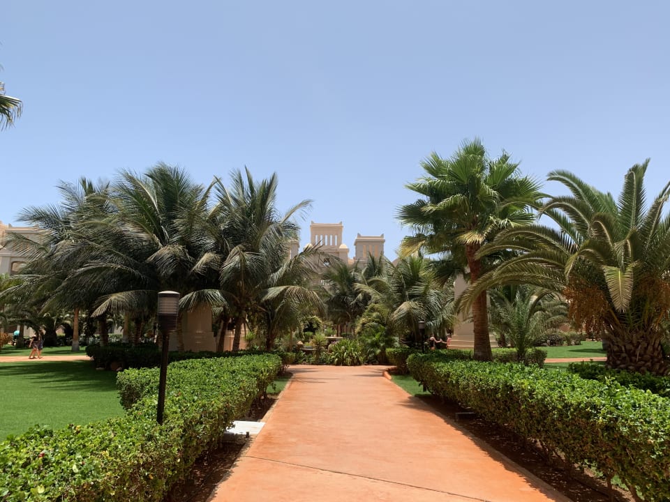 Gartenanlage Hotel Riu Touareg