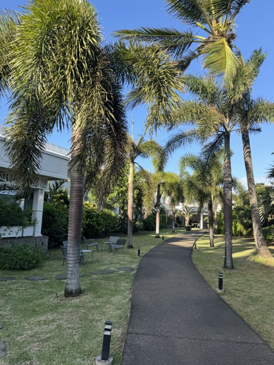 Gartenanlage Villa Delisle Hotel