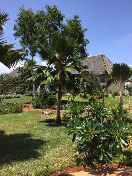 Gepflegter Garten TUI Blue Bahari Zanzibar