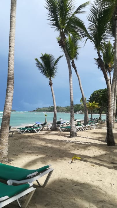 Ausblick Playabachata Hotel