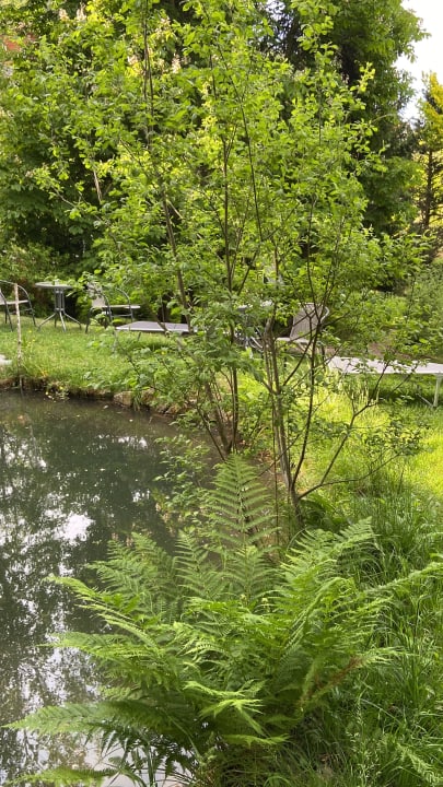 Gartenanlage Gästehaus Falkenau