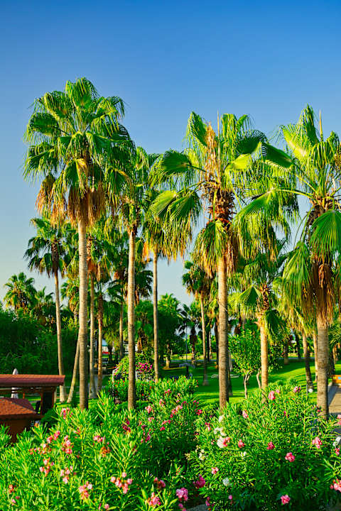 Gartenanlage VONRESORT Golden Beach