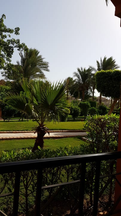 Gartenanlage Jaz Makadi Oasis Resort