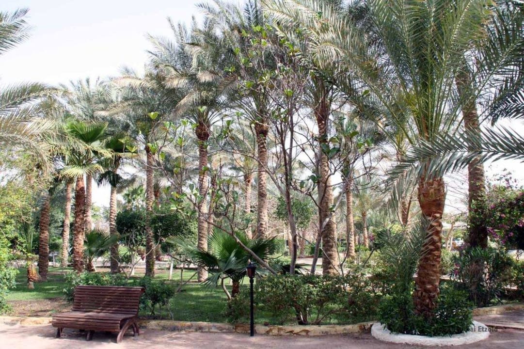 Garten Giftun Azur Resort