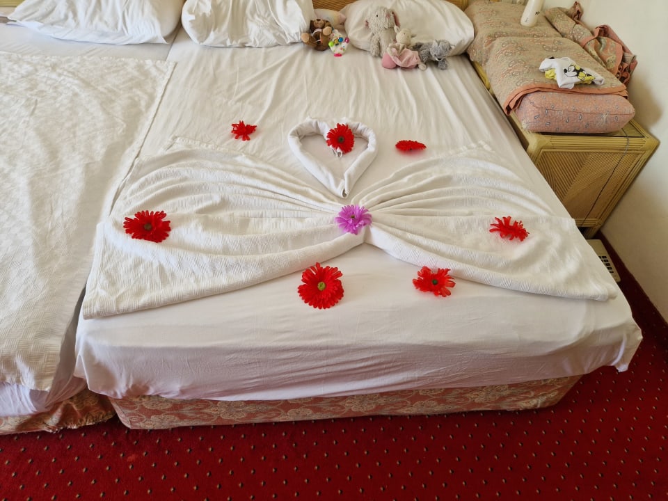 Zimmer Aska Hotel Just in Beach