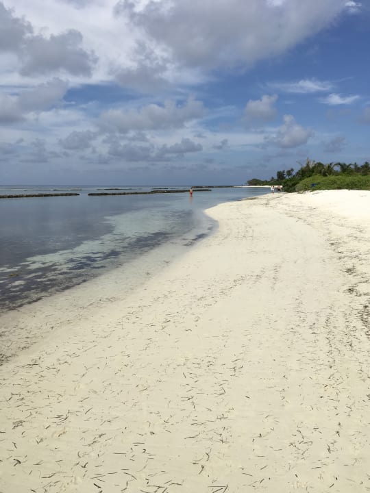 Außenansicht Kuredu Island Resort & Spa