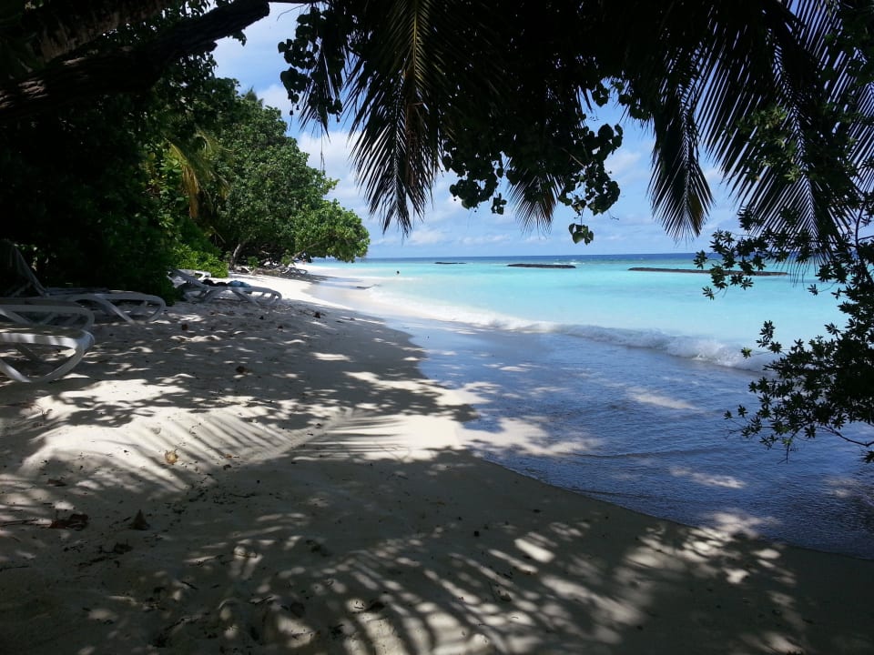 Unser Strand Villa 131 Kuramathi Maldives