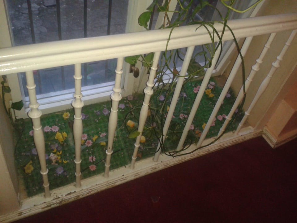 Kunstkitschrasen im Treppenhaus Hotel Berlin Märkischer Hof am Tacheles